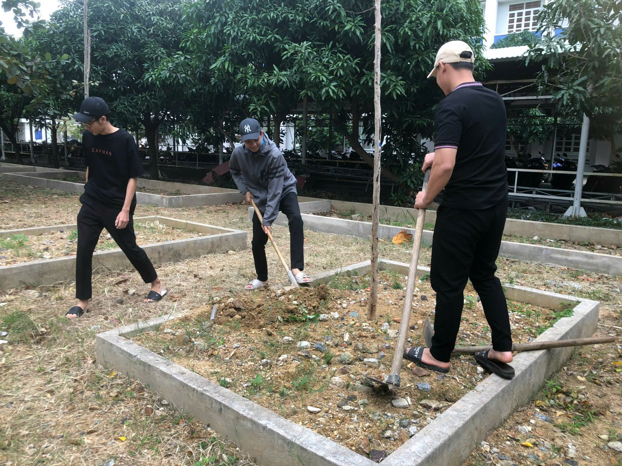 ĐOÀN THANH NIÊN TRƯỜNG CAO ĐẲNG DU LỊCH NHA TRANG HƯỞNG ỨNG NGÀY CHỦ NHẬT XANH LẦN THỨ II, NĂM 2025